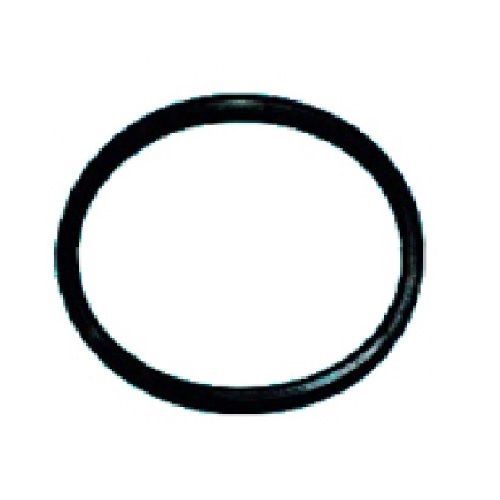 Ashirvad Flowguard Plus CPVC Rubber Washer, 2569023